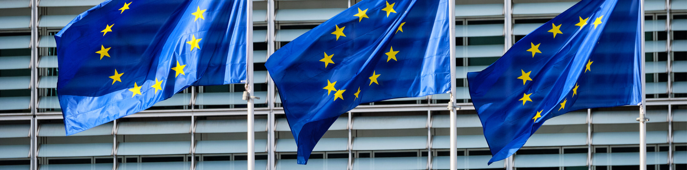 Montae & Partners -Pensioenfederatie teleurgesteld over herziening EU-regels voor afwikkeling rentederivaten 